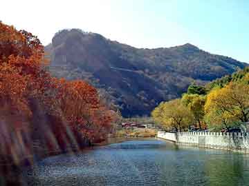 天天彩好彩天天免费，导热油电加热器